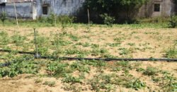 500 Sq. Yards Agricultural/Farm Land