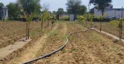 500 Sq. Yards Agricultural/Farm Land