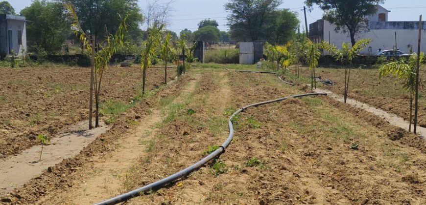 500 Sq. Yards Agricultural/Farm Land