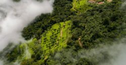 500 Sq. Yards Agricultural/Farm Land