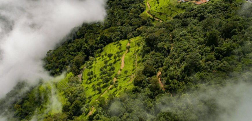 500 Sq. Yards Agricultural/Farm Land